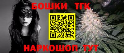 гидропоника Камышлов