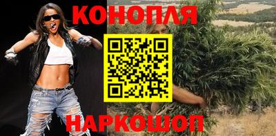 гидропоника Камышлов