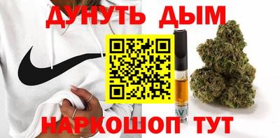 гидропоника Камышлов