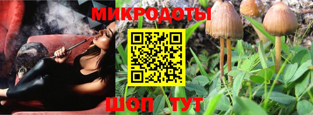 Галлюциногенные грибы Cubensis  Вход с VPN  Краснокаменск 